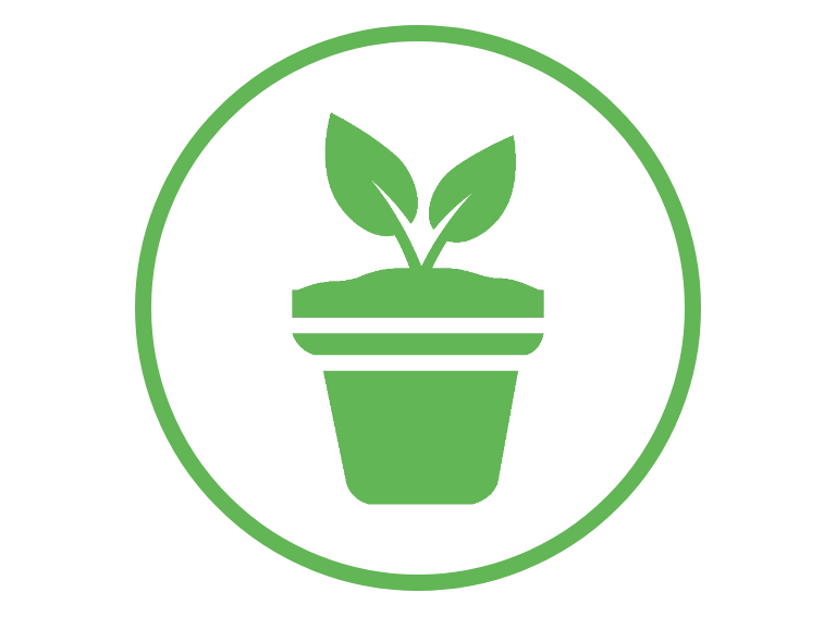 roślinka w doniczce